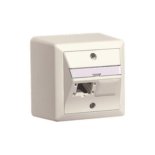NET ACC OUTLET 2X1P 80X80/WHITE R310786 R&M