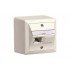 NET ACC OUTLET 2X1P 80X80/WHITE R310786 R&M