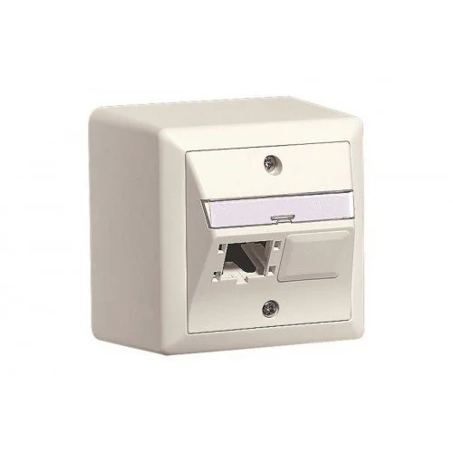 NET ACC OUTLET 2X1P 80X80/WHITE R310786 R&M
