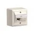 NET ACC OUTLET 2X1P 80X80/WHITE R310786 R&M