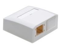 NET ACC SURFACE MOUNT BOX/2P WHITE R804304 R&M