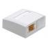 NET ACC SURFACE MOUNT BOX/2P WHITE R804304 R&M
